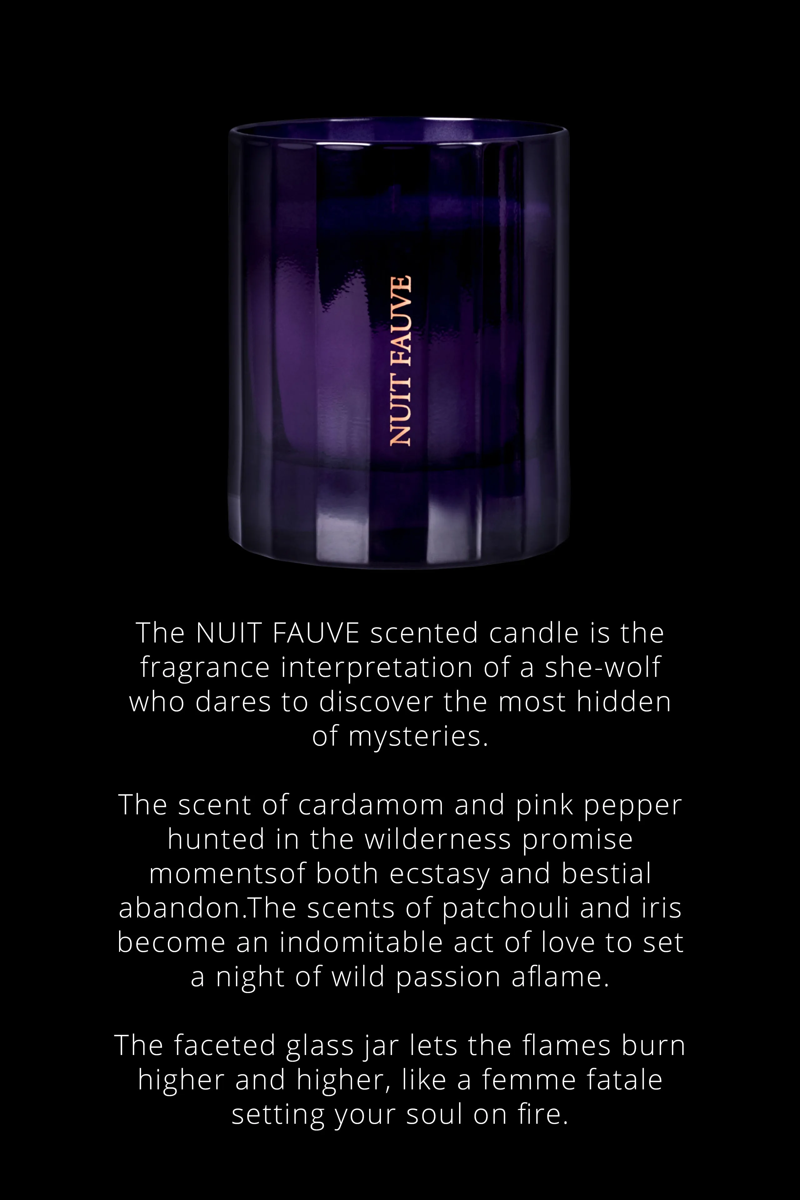 Candle Nuit Fauve - Chypre notes Maison Close