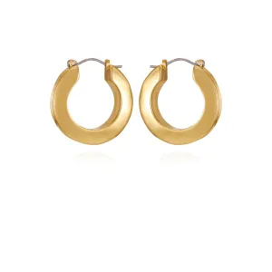 Goldtone Hoop Earrings