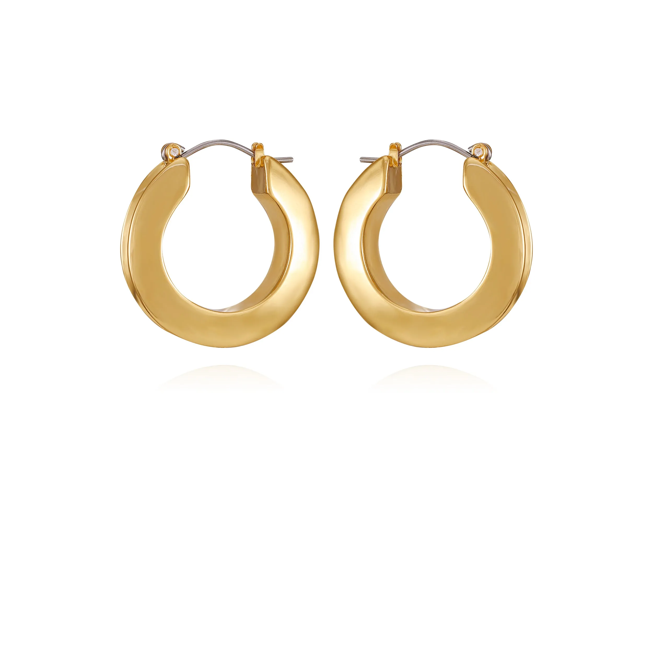Goldtone Hoop Earrings