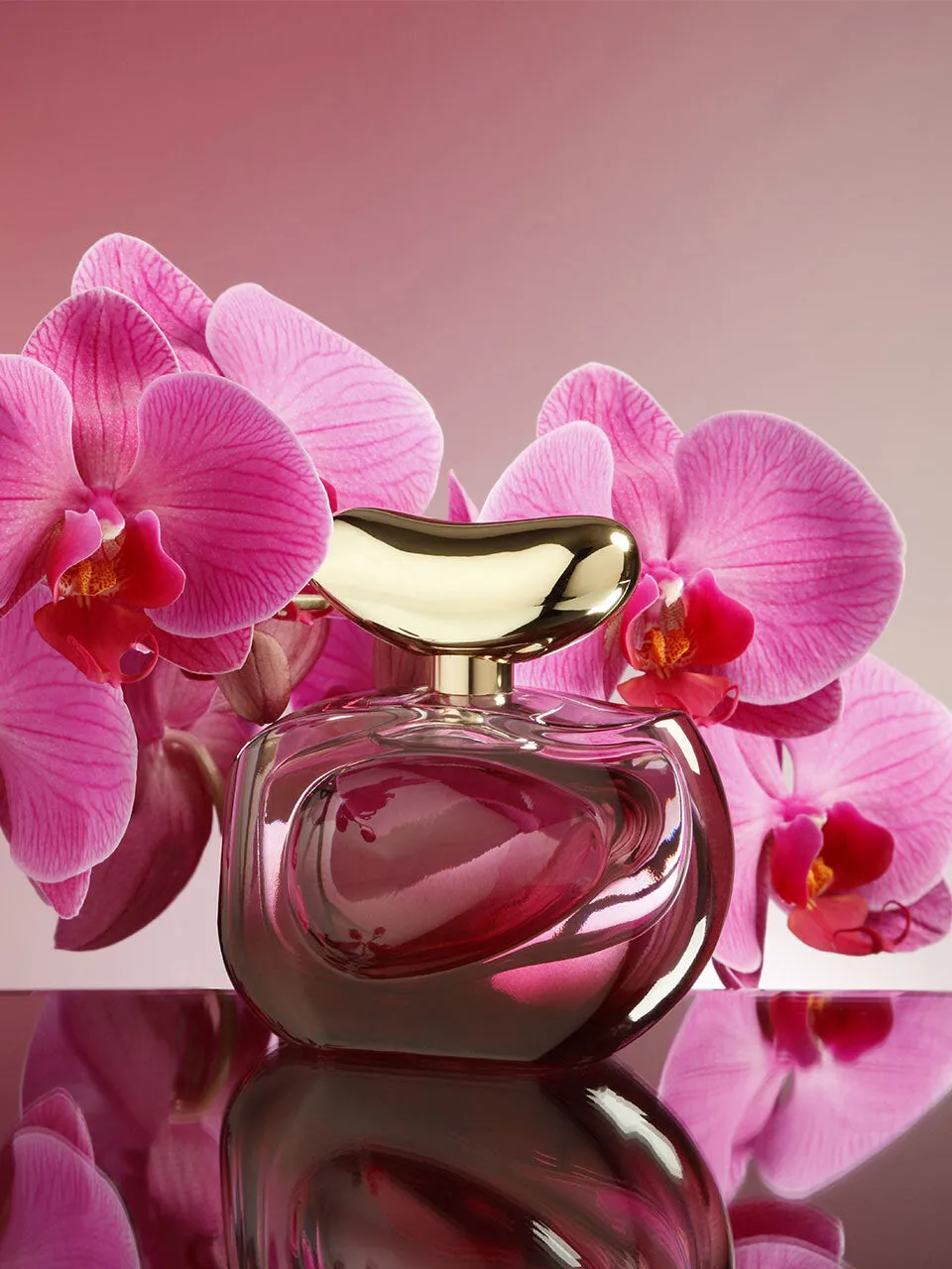 Illuminare Intensa 3.4 oz Eau de Parfum Spray