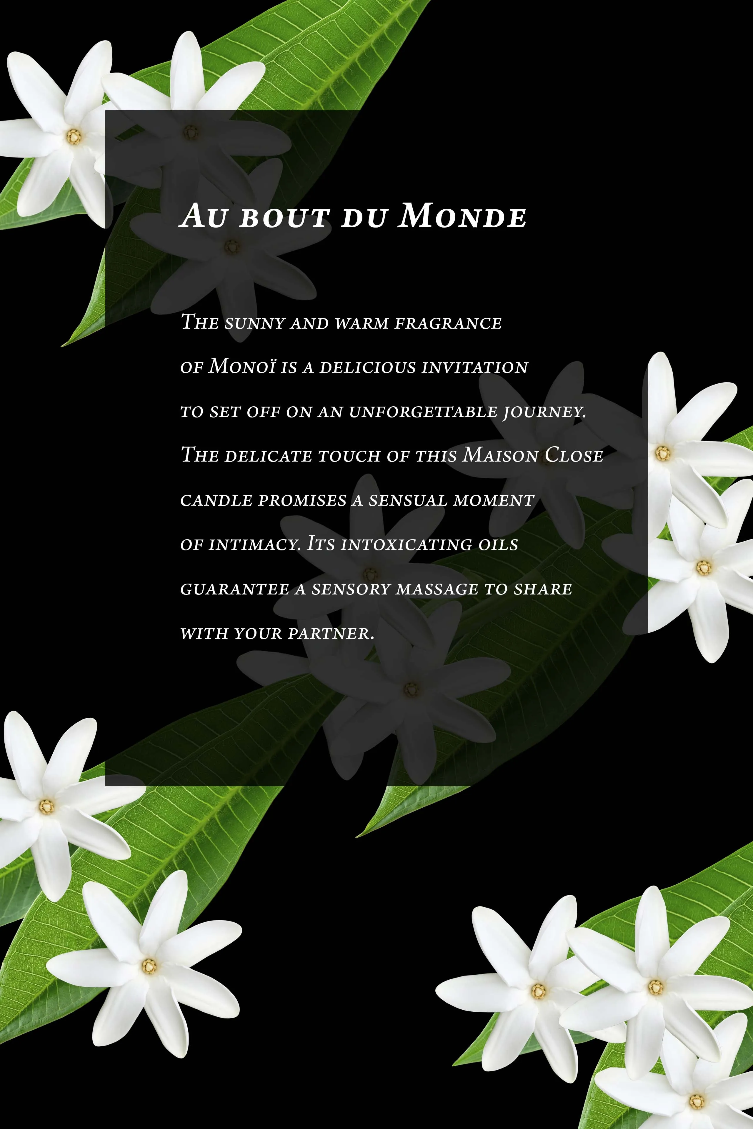 Massage Candle - Mono - Au Bout du Monde Maison Close