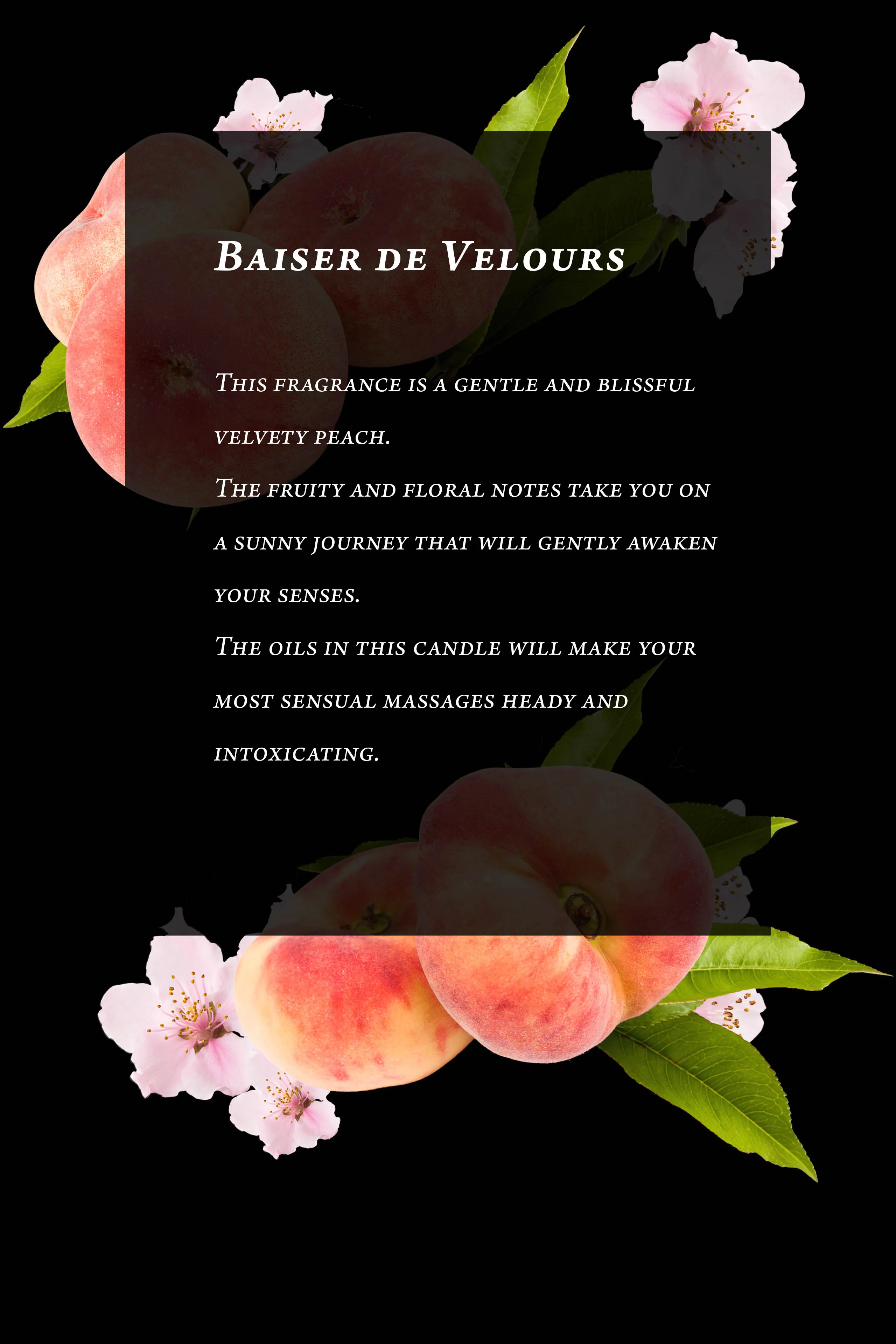 Massage Candle - Vineyard peach - Baiser de Velours Maison Close